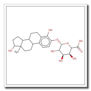 4-Hydroxyestradiol-3-O-b-D-glucuronide