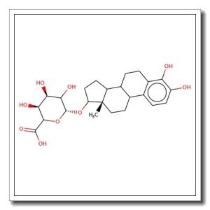 4-Hydroxyestradiol 17-O-b-D-glucuronide