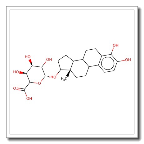 4-Hydroxyestradiol 17-O-b-D-glucuronide