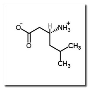 (R)-3-AMINO-5-METHYL-HEXANOIC ACID