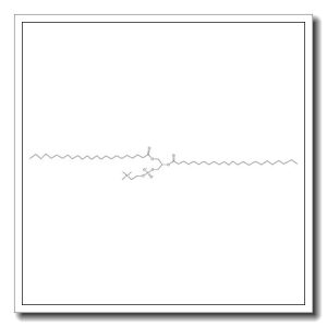 1,2-dilignoceroyl-3-sn-phosphatidylcholine
