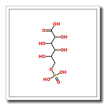 6-phospho-D-gluconic acid CAS 921-62-0