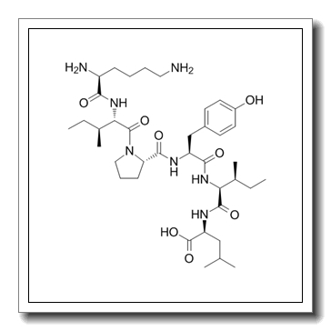 2-[[2-[[2-[[1-[2-(2,6-diaminohexanoylamino)-3-methylpentanoyl]pyrrolidine-2-carbonyl]amino]-3-(4-hydroxyphenyl)propanoyl]amino]-3-methylpentanoyl]amino]-4-methylpentanoic acid CAS 92169-45-4
