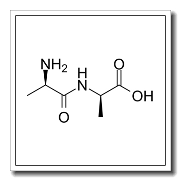 D-丙氨酰-D-丙氨酸