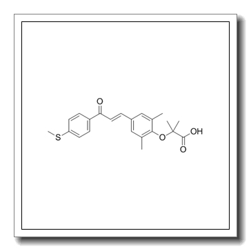 (E)-Elafibranor CAS 923978-27-2