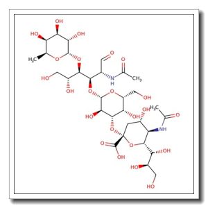 3′-Sialyl Lewis A