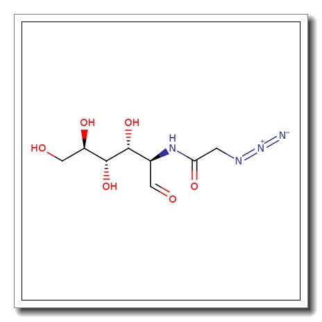 N-Azidoacetylglucosamine