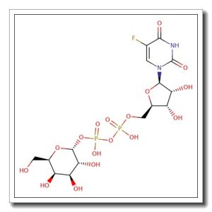 5-Fluorouridine 5′-Diphosphate Galactose