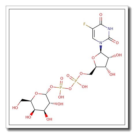 5-Fluorouridine 5′-Diphosphate Galactose