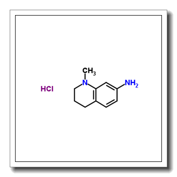 1-methyl-3,4-dihydro-2H-quinolin-7-amine,hydrochloride CAS 927684-97-7
