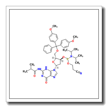 DMT-dG(ib) Phosphoramidite CAS 93183-15-4
