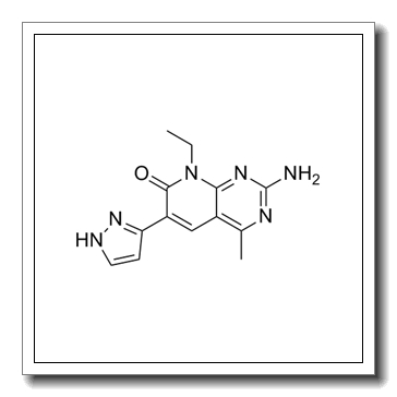 2-amino-8-ethyl-4-methyl-6-(1H-pyrazol-5-yl)pyrido[2,3-d]pyrimidin-7-one CAS 934493-76-2