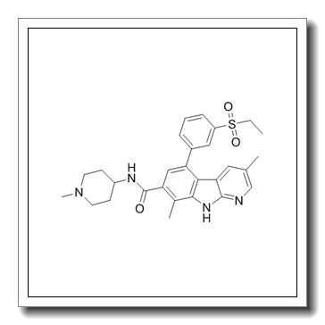 5-(3-ethylsulfonylphenyl)-3,8-dimethyl-N-(1-methylpiperidin-4-yl)-9H-pyrido[2,3-b]indole-7-carboxamide CAS 934541-31-8
