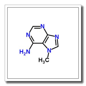 7-甲基腺嘌呤