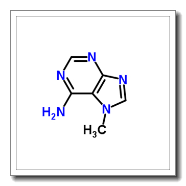 7-methyladenine CAS 935-69-3