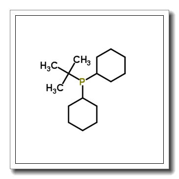 叔丁基二环己基膦