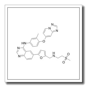N-(4-([1,2,4]噻唑并[1,5-a]吡啶-7-基氧基)-3-甲基苯基)-6-(5-(((2-(甲基磺酰基)乙基)氨基)甲基)呋喃-2-基)喹唑啉-4-胺