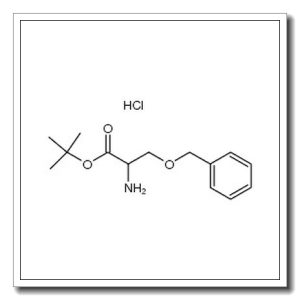 O-苄基-L-丝氨酸叔丁酯盐酸盐