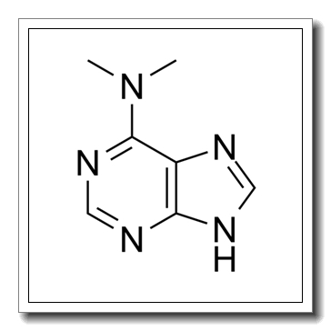 N6,N6-dimethyladenine CAS 938-55-6