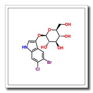 5-溴-6-氯-3-吲哚基-β-D-半乳糖皮蒽
