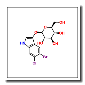 5-Bromo-6-chloro-3-indolyl-β-D-galactoside CAS 93863-88-8