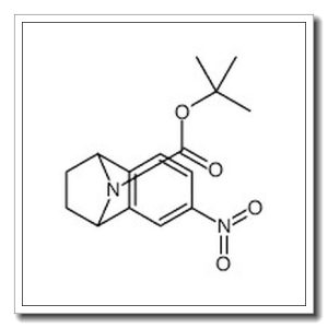 2-Methyl-2-propanyl 4-nitro-11-azatricyclo[6.2.1.02,7]undeca-2,4,6-triene-11-carboxylate