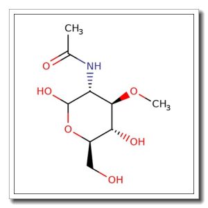 2-Acetamido-2-deoxy-3-O-methyl-D-glucopyranose