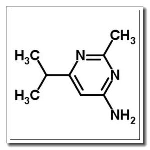 2-甲基-4-氨基-6-异丙基嘧啶