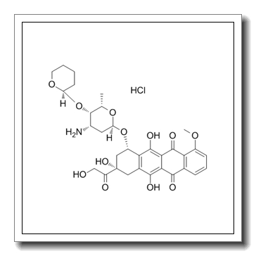 吡柔比星盐酸盐