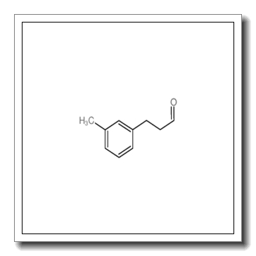 3-(3-methylphenyl)propanal CAS 95416-60-7