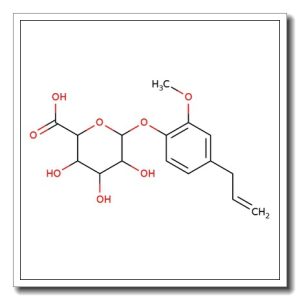 Eugenol-β-D-glucuronide