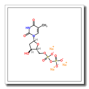 2'-Deoxythymidine-5'-diphosphate trisodium salt CAS 95648-78-5