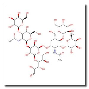 Monofucosyllacto-N-hexaose III