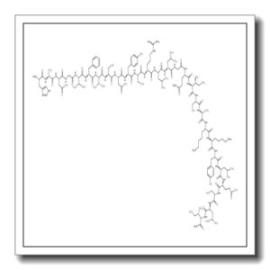 PHI-27 FROM RAT