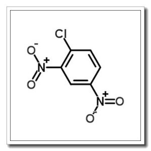 1-氯-2,4-二硝基苯