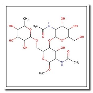 Methyl 2-acetamido-4-O-(2-acetamido-2-deoxy-b-D-glucopyranosyl)-2-deoxy-6-O-(a-L-fucopyranosyl)-b-D-glucopyranoside