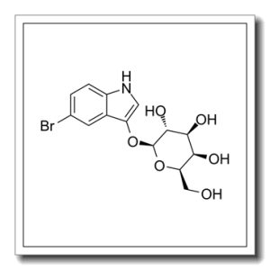 5-溴-3-吲哚基-beta-D-吡喃半乳糖苷