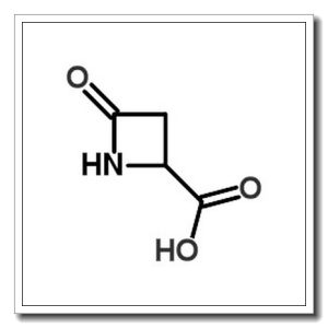 4-氧代-2-氮杂丁烷羧酸