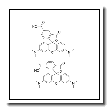 [9-(2,5-dicarboxyphenyl)-6-(dimethylamino)xanthen-3-ylidene]-dimethylazanium,[9-(2,6-dicarboxyphenyl)-6-(dimethylamino)xanthen-3-ylidene]-dimethylazanium,dichloride CAS 98181-63-6