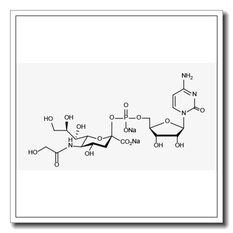 CMP-Pseudaminic acid