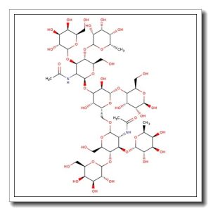 Difucosyllacto-N-hexaose (c)