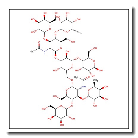 Difucosyllacto-N-hexaose (c)
