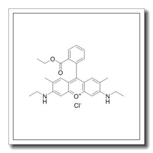 碱性红 1