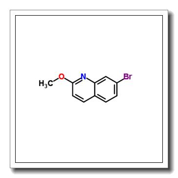 7-Bromo-2-methoxyquinoline CAS 99455-08-0