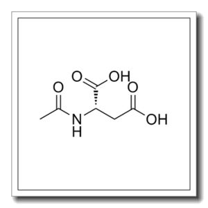 N-乙酰基-L-天冬氨酸