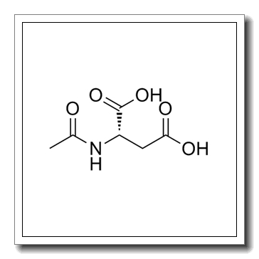 N-乙酰基-L-天冬氨酸