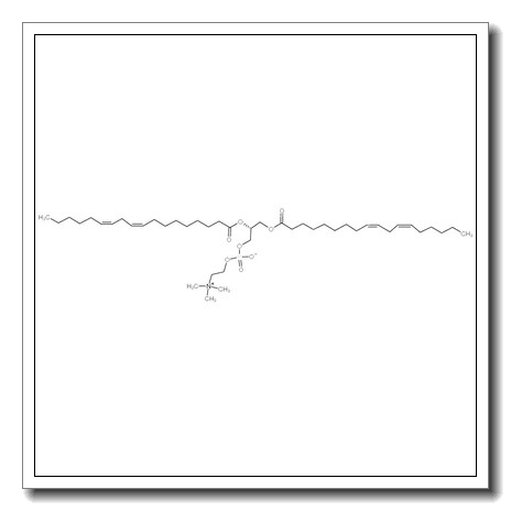 1,2-dilinoleoyl-sn-glycero-3-phosphocholine CAS 998-06-1 