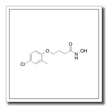 4-(4-Chloro-2-methylphenoxy)-N-hydroxybutanamide CAS 99873-43-5