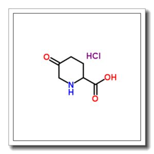 5-oxopiperidine-2-carboxylic acid,hydrochloride