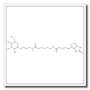 a-D-Galactose-sp-biotin